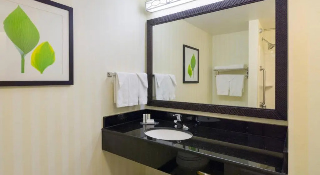 Номер Standard Fairfield Inn & Suites Lock Haven