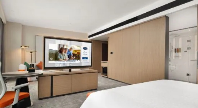 Люкс Hampton by Hilton Wuhan Jiangxia