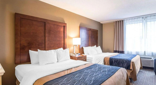 Четырёхместный номер Standard Comfort Inn & Suites Dover-Portsmouth