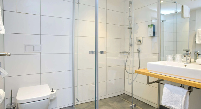 Двухместный номер Superior Tulip Inn Ludwigshafen City