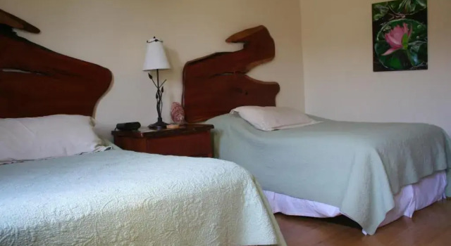 Standard huone Hotel Floyd
