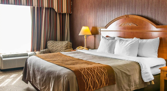 Номер Standard Hampton Inn Chelsea, Mi