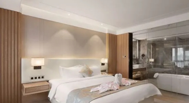 Люкс Deluxe Jinyue Shanglv Boutique Hotel (Chongqing Times Paradise Walk)