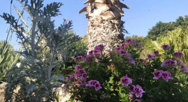 Giardino di Circe, Book Hotel Hotels in Sicily with a Pool, Swimming Pool