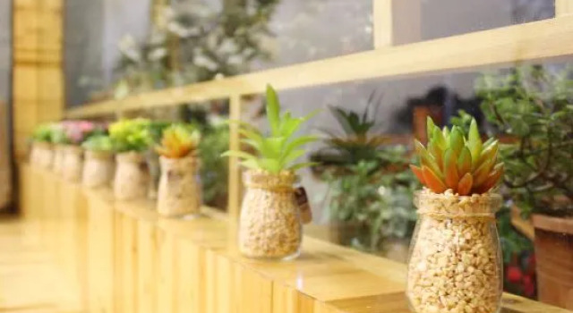 Yandangshan Fengsheng Hotel, Prenota Hotel Wenzhou Zhejiang