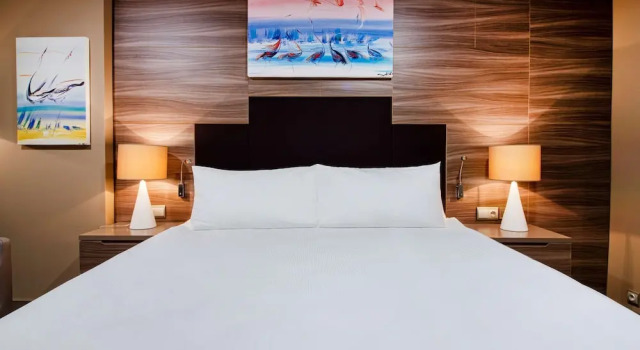 Люкс c 1 комнатой DoubleTree by Hilton Ankara Incek