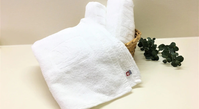 Номер Economy Saijo Urban Hotel