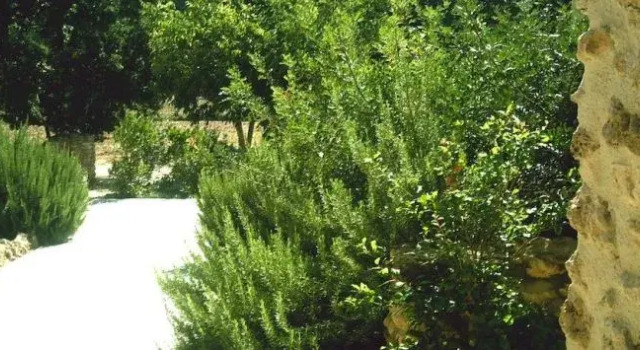 Il Tesoro Agriturismo, Varaa Hotelli Acquasparta Umbria