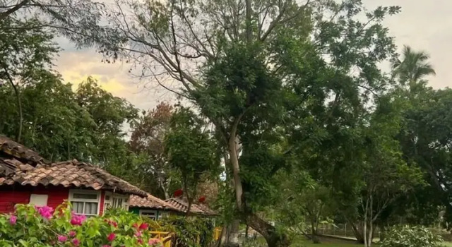 Номер Comfort Hotel Santa Fe Campestre