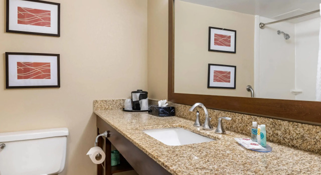 Четырёхместный номер Standard Comfort Inn MSP Airport - Mall of America