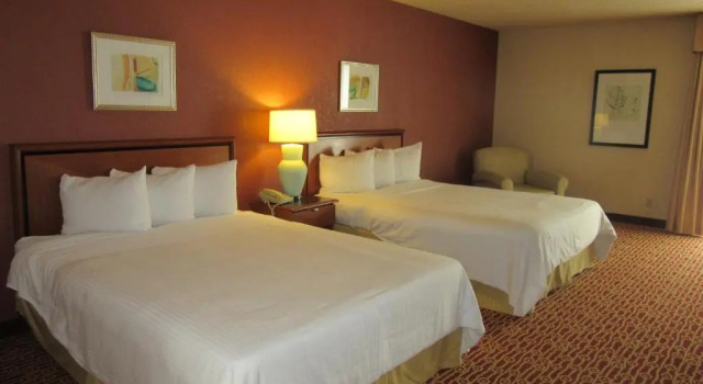 Четырёхместный номер Standard Atrium Hotel and Suites DFW Airport