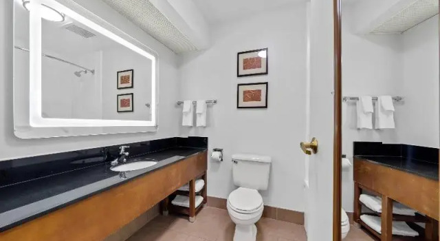 Люкс Economy Comfort Suites Milledgeville