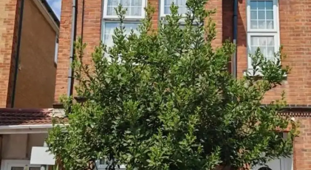 SnoozeDen Wellesley – Near to Slough Station