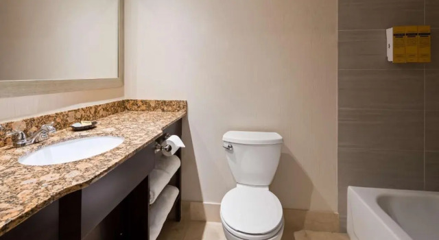 Двухместный люкс Deluxe Best Western Plus Ambassador Suites