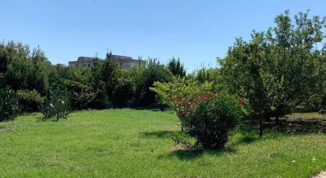 Villa Olivia, Reserva ahora Villa Tricase Salento