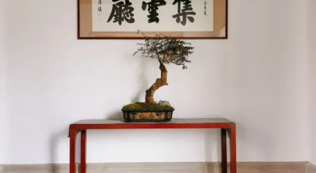 Люкс Tiantai Yuejing Inn