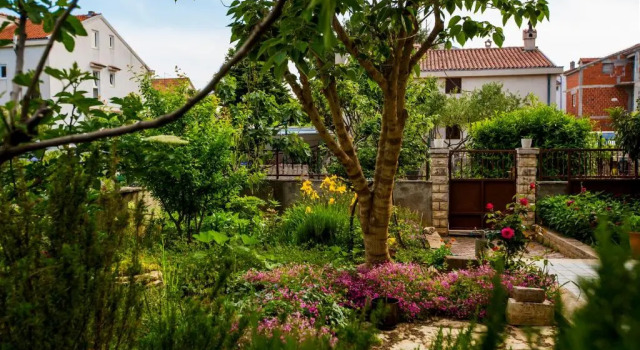 Ava apartmani