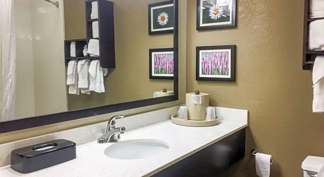 Полулюкс Executive Comfort Suites Regency Park