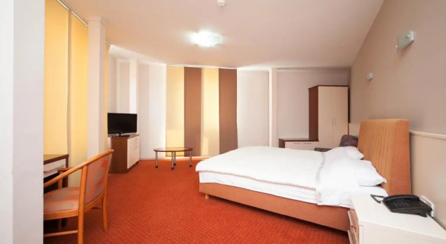 Номер Superior Hotel Lebed