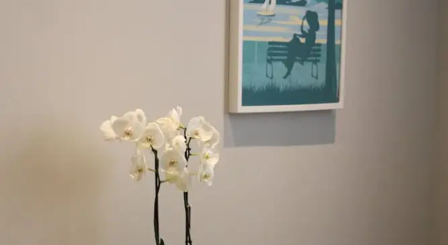 Номер Standard Hotel des Eaux
