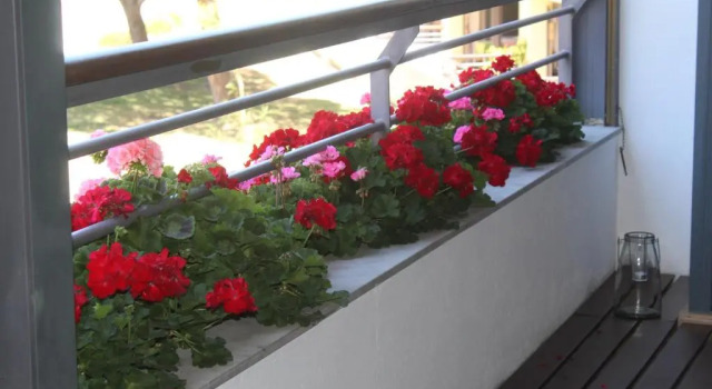 Apartamento Marina Park, Varaa Huoneisto Lagos Albufeira