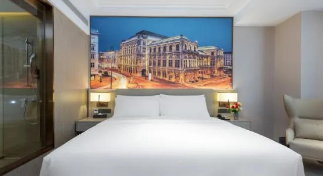 Люкс Deluxe Vienna Hotel (Wuchang Jiangtan Xujiapeng Subway Station, Hubei University)