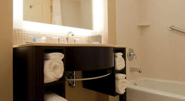 Номер Standard DoubleTree by Hilton Dulles Airport-Sterling