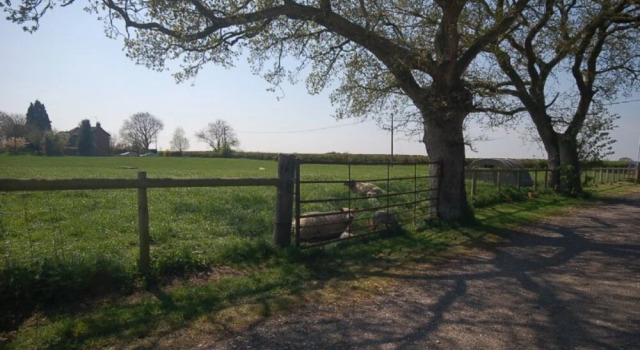 The Dairy