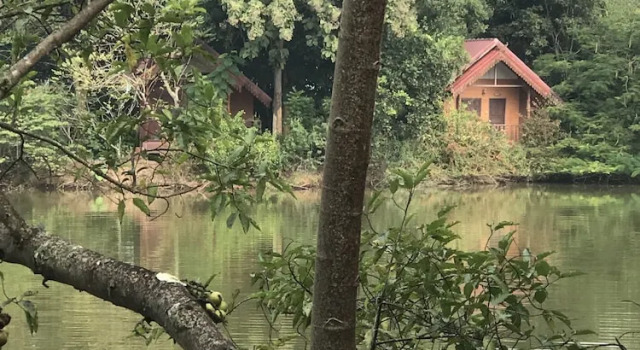 Бунгало Standard с балконом Kong Tong Resort
