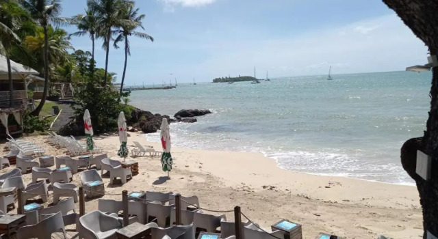 Grand studio de 41 m², vue mer et jardin tropical.