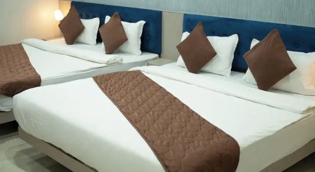 Двухместный номер Premium Hotel Manaal Pithampur