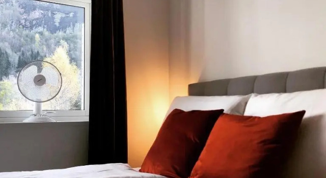 Двухместный номер с видом на горы Stryn House Hotel