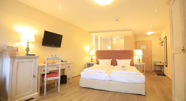 Одноместный номер Classic Hotel Gut Schmelmerhof
