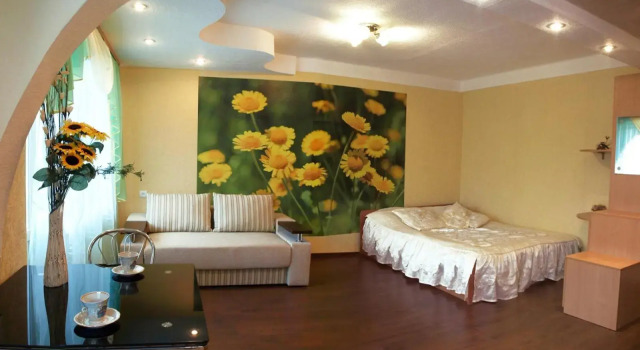 Квартира на проспекте Александра Поля с ромашками (Apartment on the Oleksandra Polia avenue with chamomiles), Book Lejlighed Dnepropetrovsk 