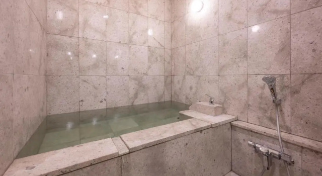 Номер Superior Hotel Sekifu