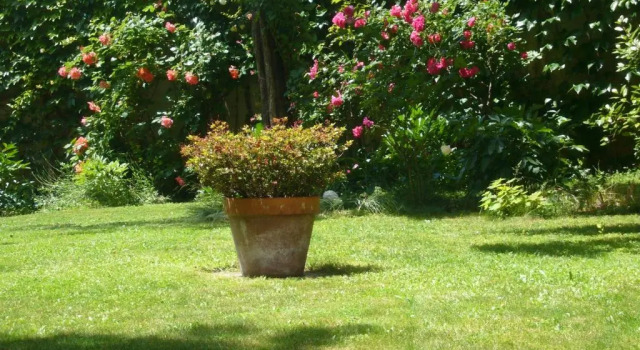 Люкс Le Jardin de Beauvoir