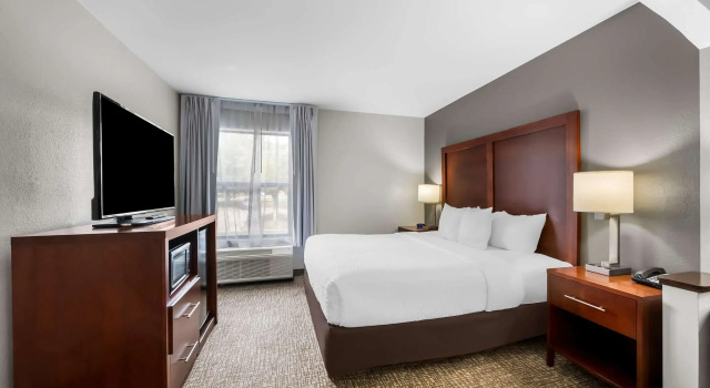 Двухместный люкс Clarion Pointe Apex - Holly Springs