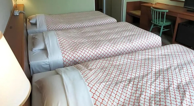 Номер Standard Hotel Nikko Huis Ten Bosch