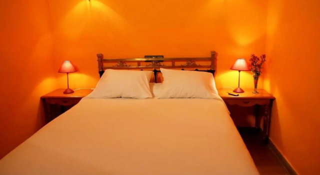 Apartamentos La Iguana