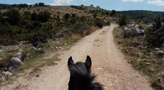 Gio Horses B&B, Rezerwuj Bed and Breakfast Tanie hotele w Gargano