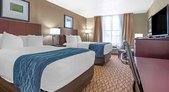 Четырёхместный люкс Comfort Inn & Suites Glen Mills - West Chester