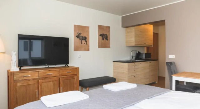 Студия Standard E18 Apartments