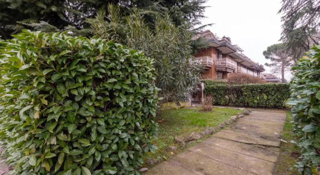 Cà Amisa