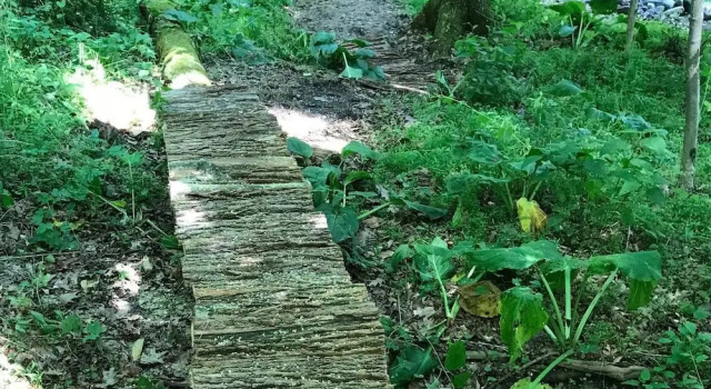 Tentrr - A Riverwalk, 预订 露营地 Stanfordville 康涅狄格州