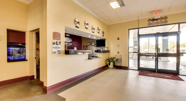 Econo Lodge Tampa near Busch Gardens