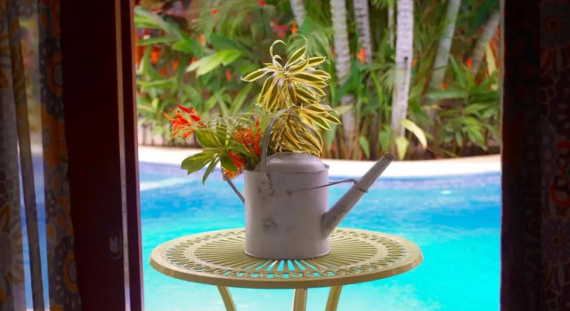 Двухместный номер Standard с видом на бассейн Ten North Tamarindo Beach Hotel