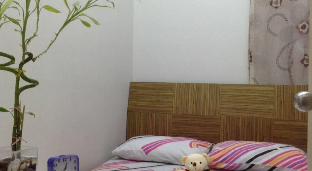A&F Tropics Homestay