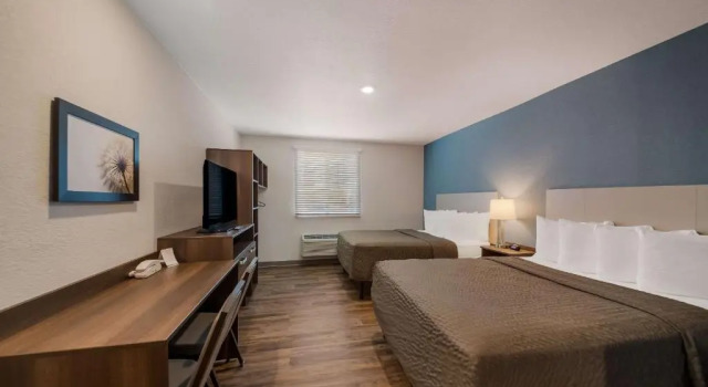 Четырёхместный номер Standard WoodSpring Suites Wesley Chapel-Tampa