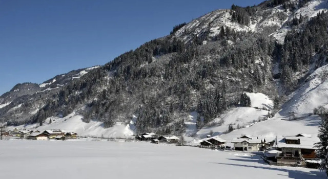 Трёхместный номер Standard с балконом Hotel Alpenhof