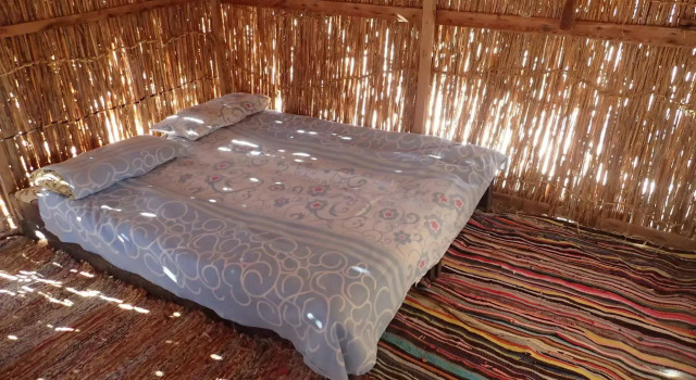 Bedouin Star